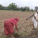 बिहार विधानसभा चुनाव में उतरेगी आम आदमी पार्टी, अरविंद केजरीवाल ने किया बड़ा ऐलान